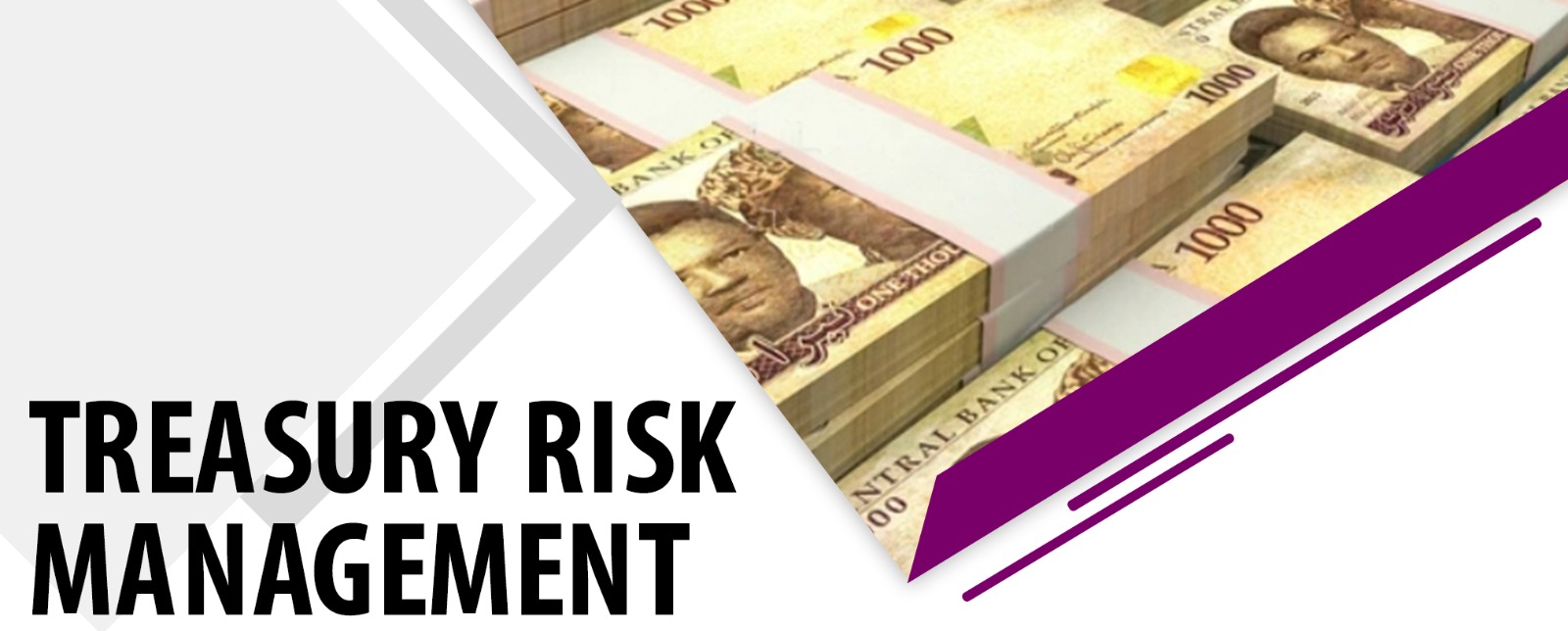 Treasury Risk Management