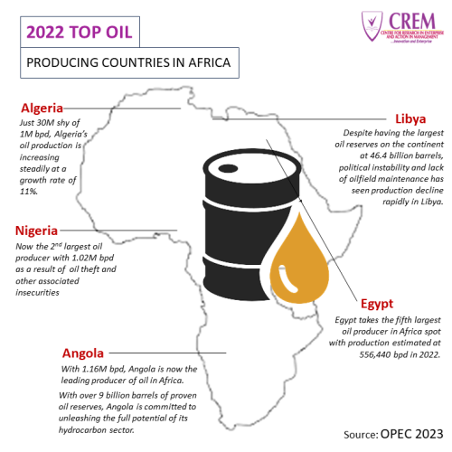 2022 Top Oil Producing Countries in Africa - CREM Nigeria