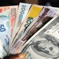 Market Forces that Determine the Value of the Nigeria Naira