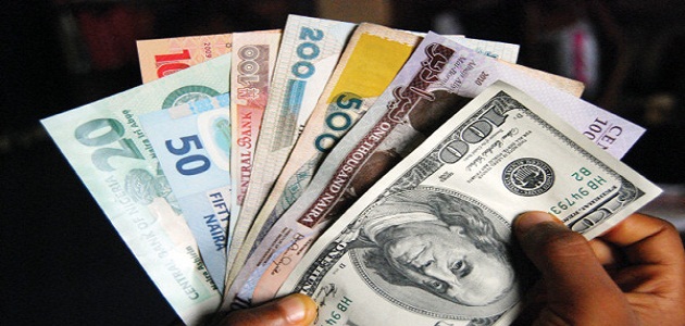 Market Forces that Determine the Value of the Nigeria Naira