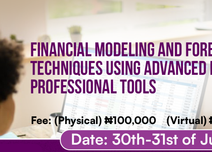 Financial Modeling and Forecasting Techniques Using Advanced Excel Tools